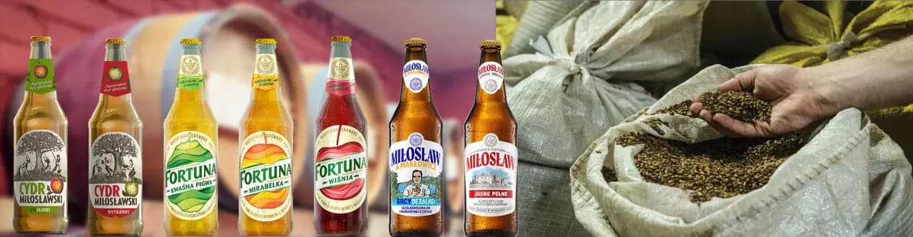 Gdzie kupić piwo Fortuna? Sprawdź najlepsze sklepy w okolicy