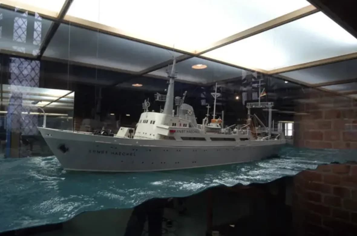 Historia ryzyka od żeglarzy do spekulantów giełdowych